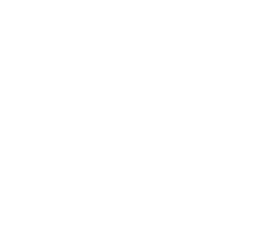 ACT Dynamics